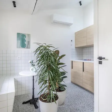 Lejlighed 3capu4em Cosy T2 Avec Terrasse Refait A Neuf - Noaille *